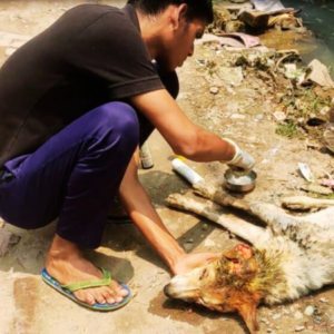 NGO Working Need 2026